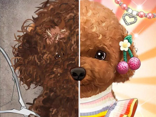 Pet Makeup Master_img